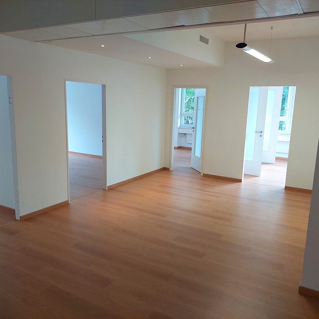Lugano - Completely renovated offices for rent and for sale
